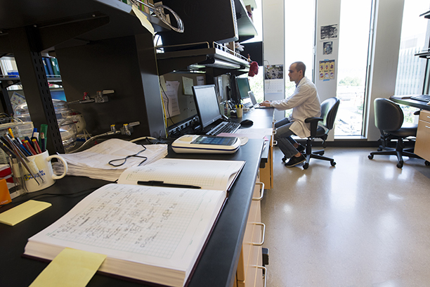 A researcher studies medical data in a lab