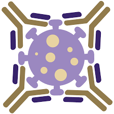 Virus with antibodies