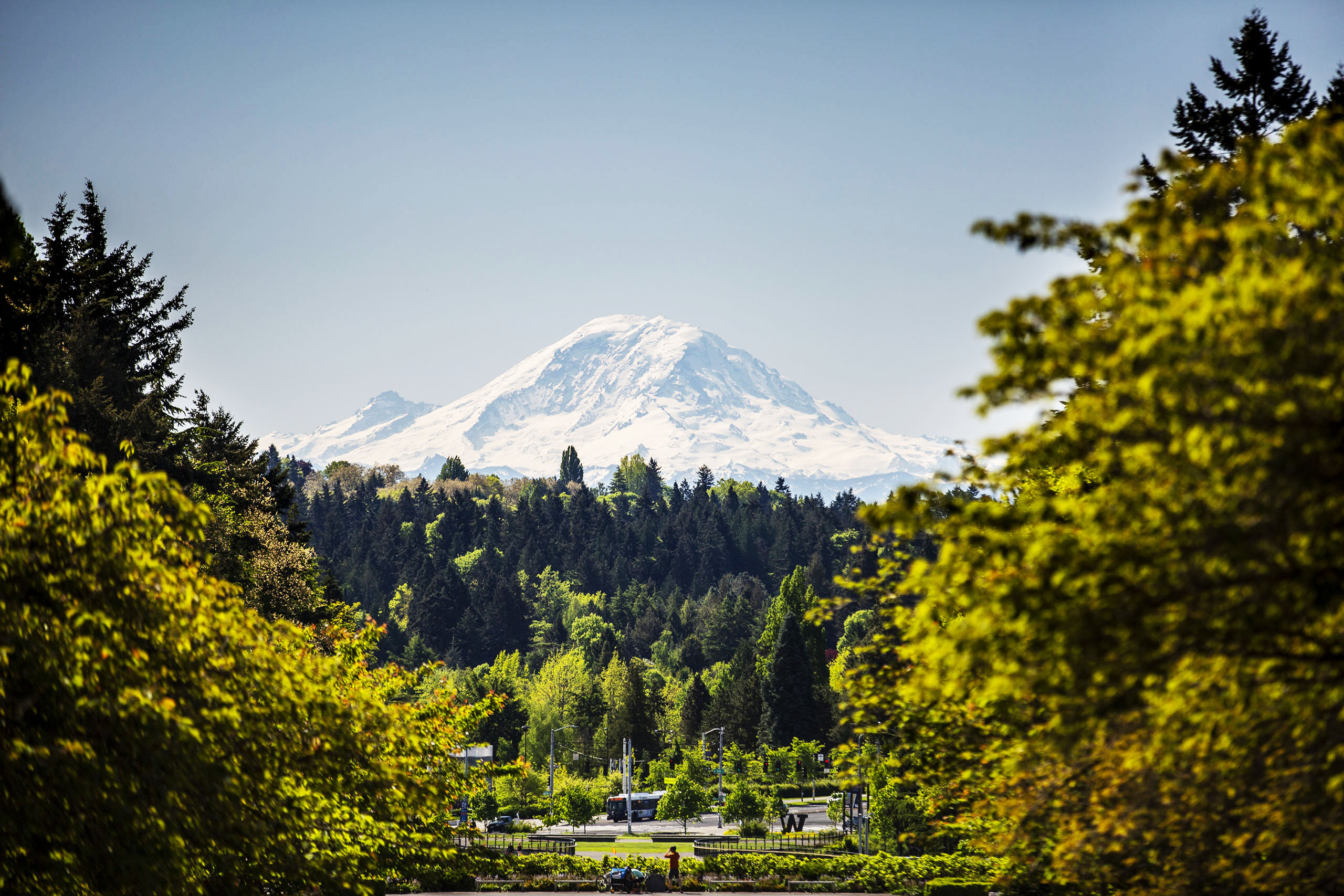 Mount Tahoma towers over a forested valley on a clear day