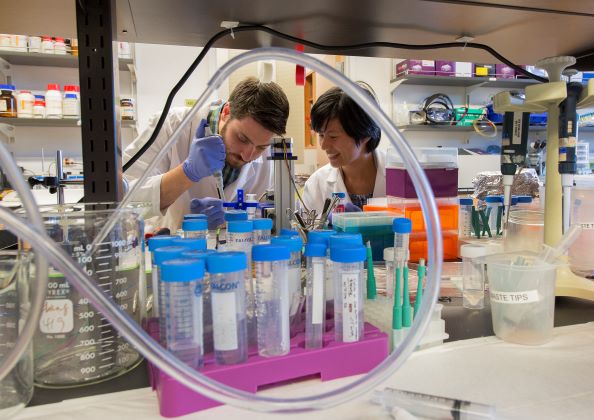 Collaboration in the lab