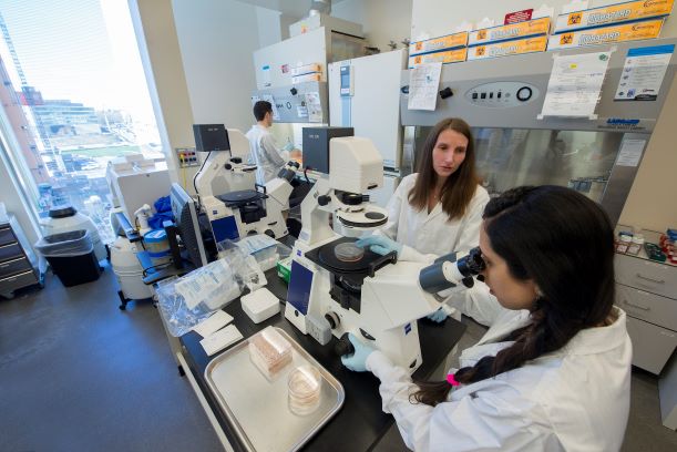 Stem cell research