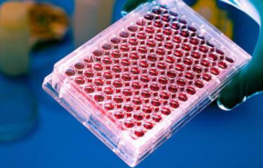 genetic samples